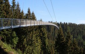 Atemraubender Ausflugstipp: Hängebrücke "WildLine", Picture 1/1