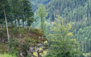 Ausflugstipp: Genießerpfad Bad Rippoldsau, Picture 1/3